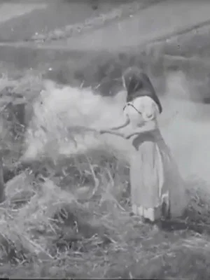 Постер: Brûleuses d'herbes