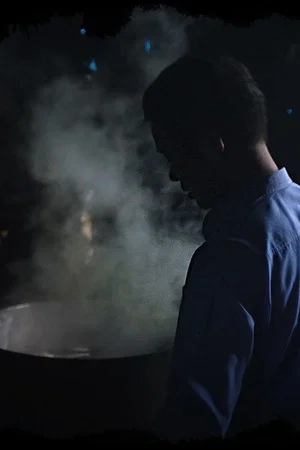 Постер: The Dumpling Vendor