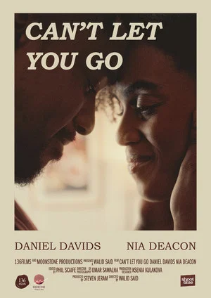 Постер: Can't Let You Go