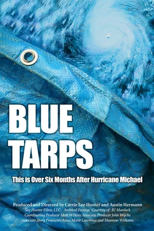 Постер: Blue Tarps