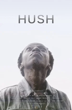 Постер: Hush