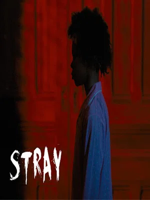 Постер: Stray