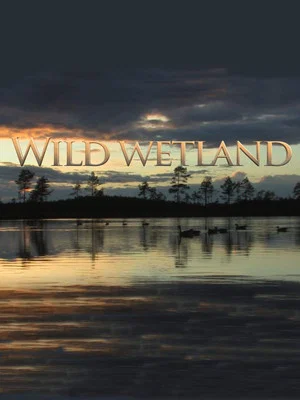 Постер: Wild Wetland
