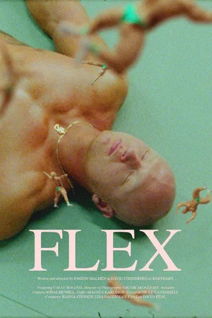 Постер: Flex