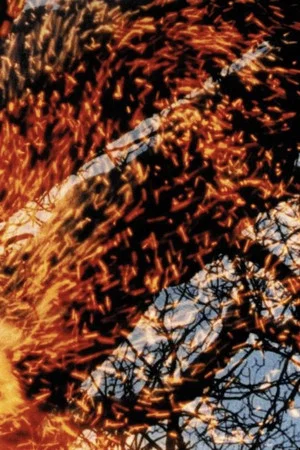 Постер: Winter Feuer