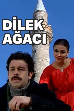 Постер: Dilek Ağacı