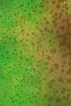 Постер: Blue Moon