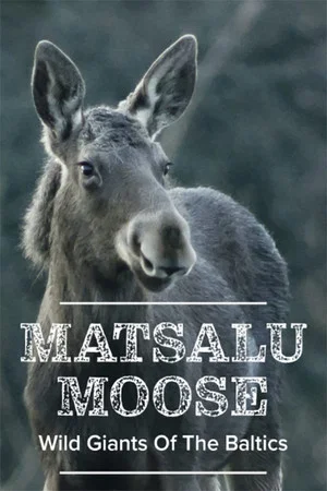 Постер: Matsalu Moose: Wild Giants of the Baltics