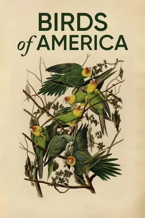 Постер: Birds of America