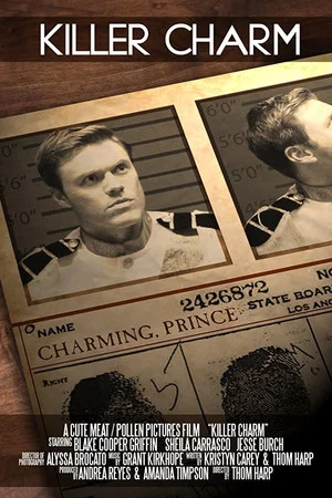 Постер: Killer Charm