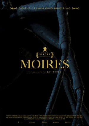 Постер: Moires