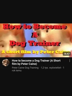Постер: How to become a Dog Trainer
