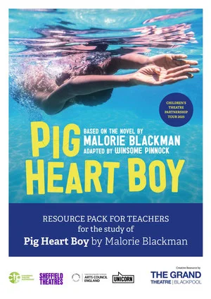 Постер: Pig Heart Boy