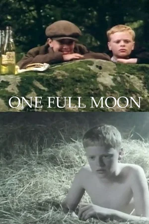 Постер: One Full Moon