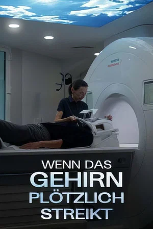 Постер: Als ich für acht Stunden verschwand