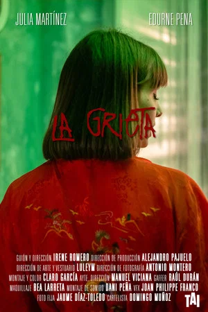 Постер: The Crack