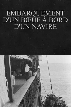 Постер: Embarquement d'un bœuf à bord d'un navire