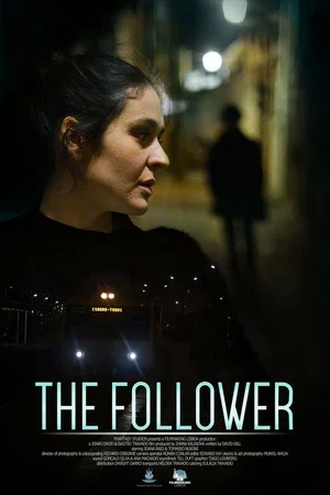 Постер: The Follower