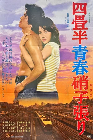 Постер: Yojōhan seishun garasu-bari