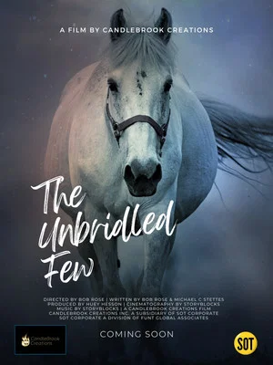 Постер: The Unbridled Few