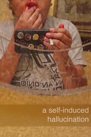 Постер: A Self-Induced Hallucination