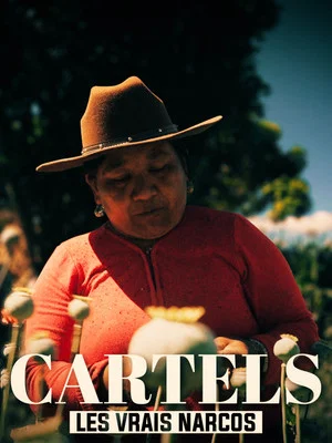 Постер: Les vrais Narcos