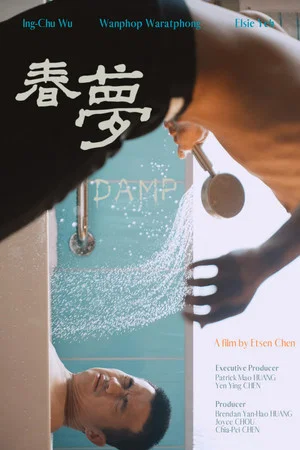 Постер: Damp