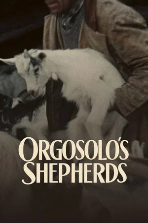 Постер: Orgosolo’s Shepherds