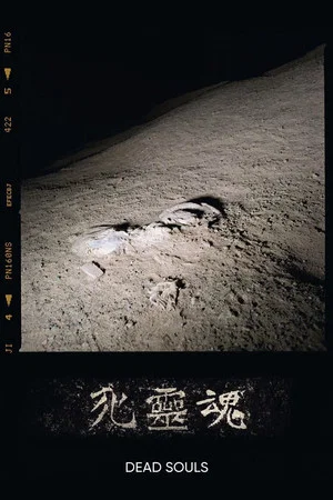 Постер: Dead Souls