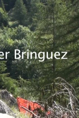Постер: The road for Bringuez