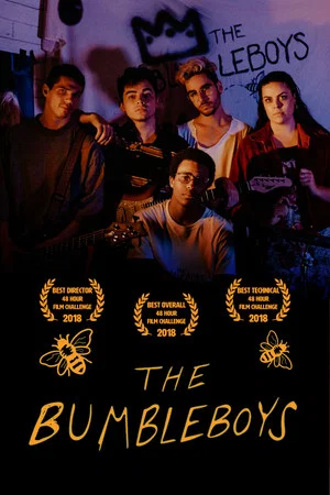 Постер: The Bumbleboys