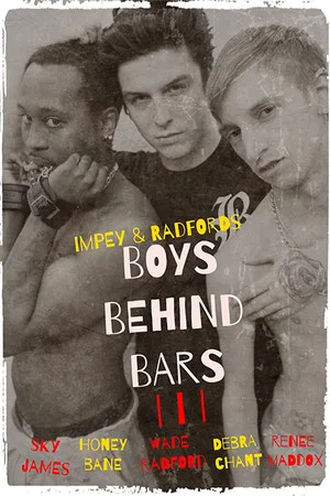 Постер: Boys Behind Bars 3