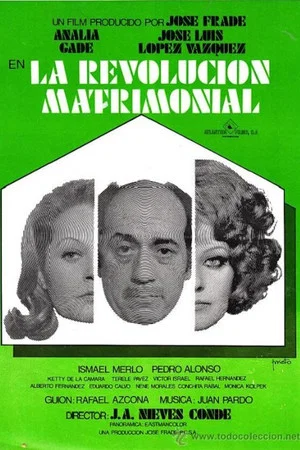 Постер: La revolución matrimonial