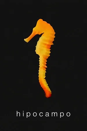 Постер: Hippocampus
