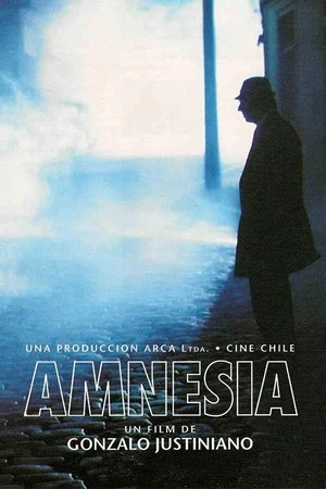 Постер: Amnesia