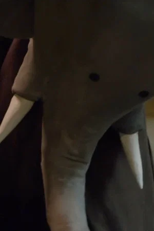 Постер: Un éléphant me regarde