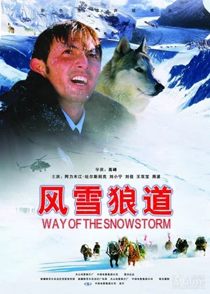 Постер: Way of the Snowstorm