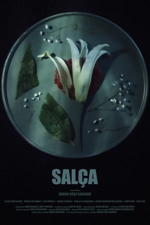 Постер: Salça