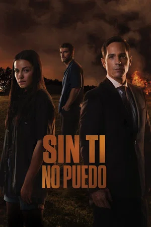 Постер: Я не могу без тебя