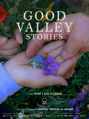 Постер: Good Valley Stories