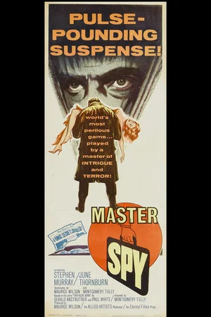 Постер: Master Spy