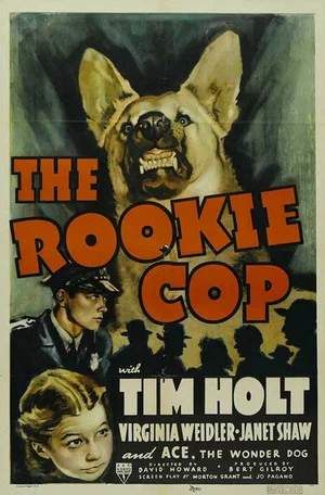 Постер: The Rookie Cop