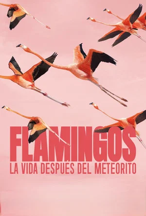 Постер: Flamingos: Life After the Meteorite