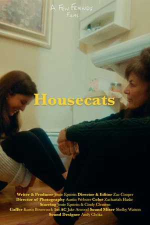 Постер: Housecats