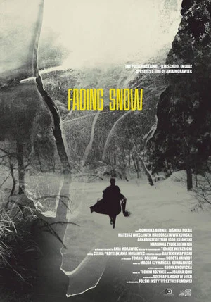 Постер: Fading Snow