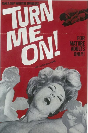 Постер: Turn Me On!