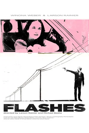 Постер: Flashes