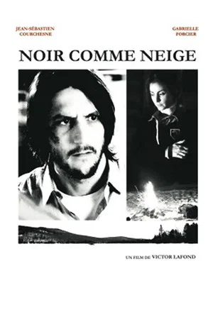 Постер: Noir comme neige