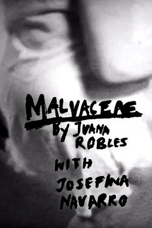 Постер: Malvaceae