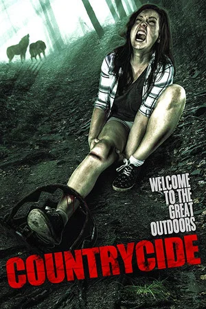 Постер: Countrycide